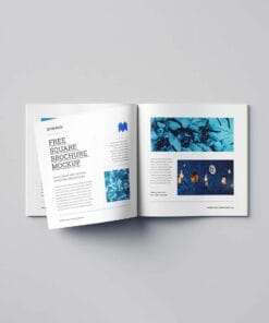 Thiết kế in catalogue profile, thiết kế in catalog hồ sơ năng lực, thiết kế in Gia Khiêm, thiết kế in giakhiem.vn