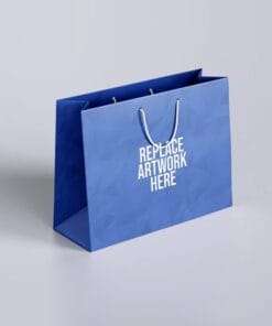 in Túi giấy - Túi shopping