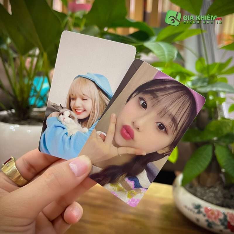 in card bo góc in ảnh bo góc theo yêu cầu