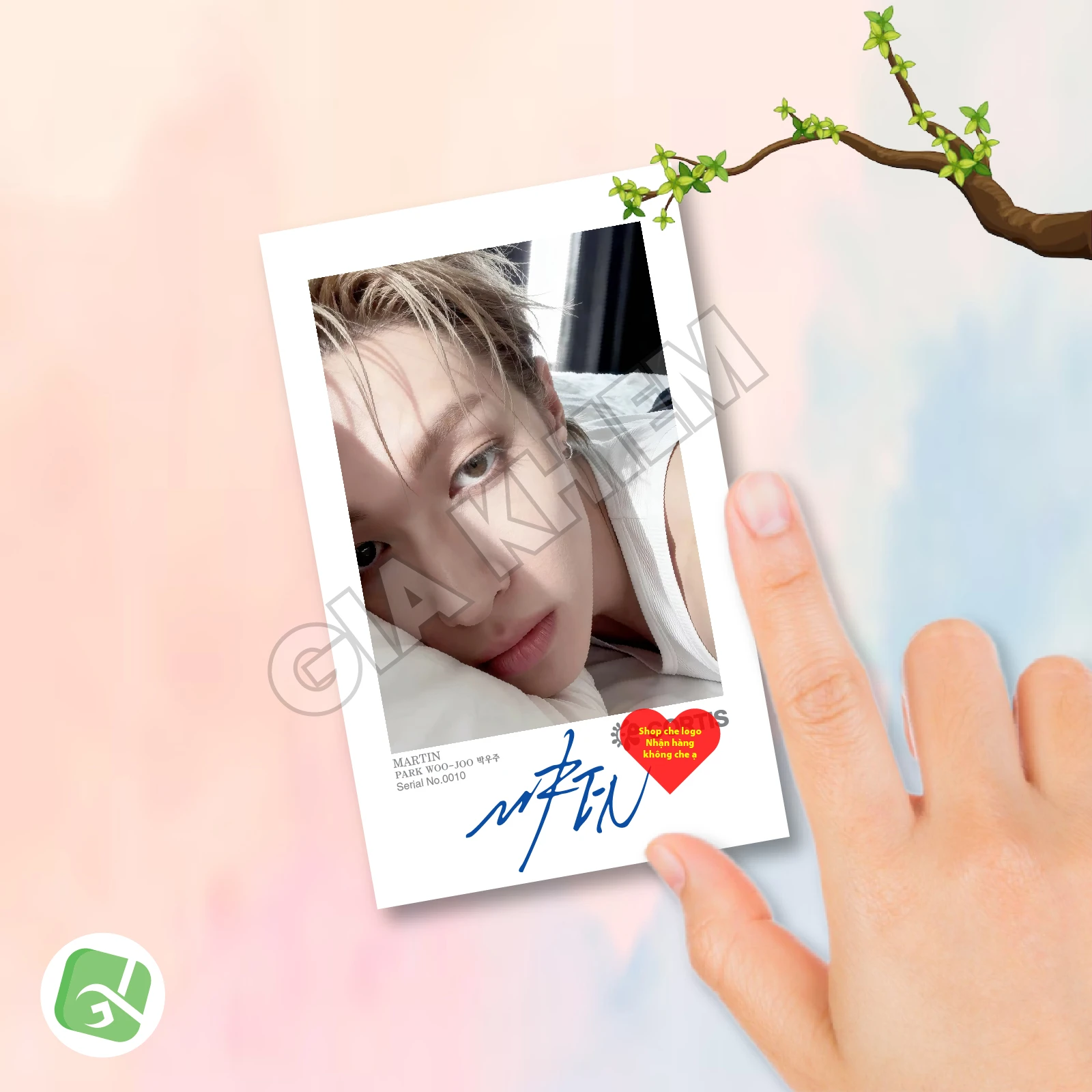 Ảnh Pola CORTIS Có Gì Hot? Trend Sưu Tầm Ảnh Polaroid CORTIS