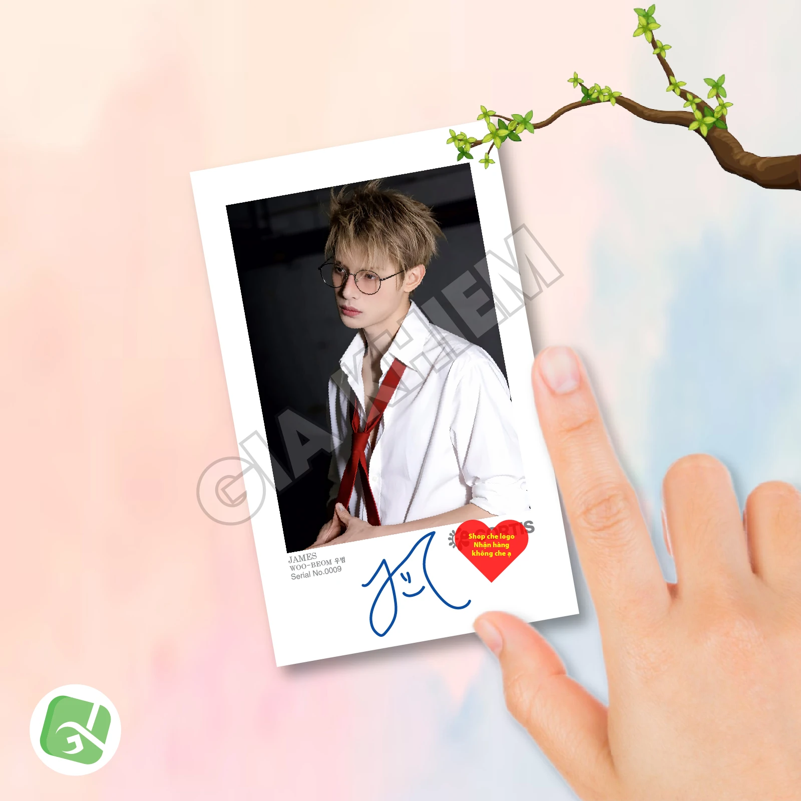 Ảnh Pola CORTIS Có Gì Hot? Trend Sưu Tầm Ảnh Polaroid CORTIS