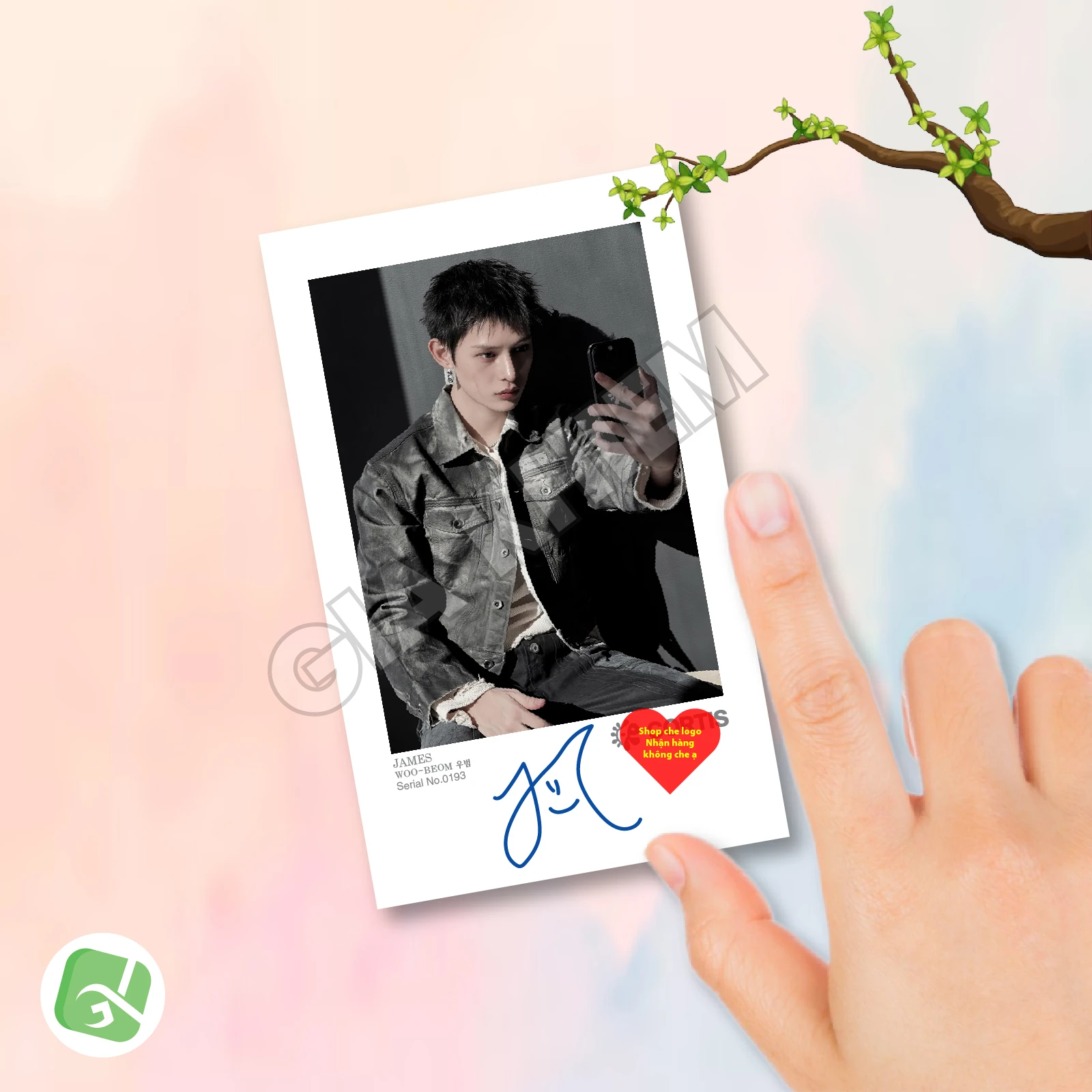 Ảnh Pola CORTIS Có Gì Hot? Trend Sưu Tầm Ảnh Polaroid CORTIS