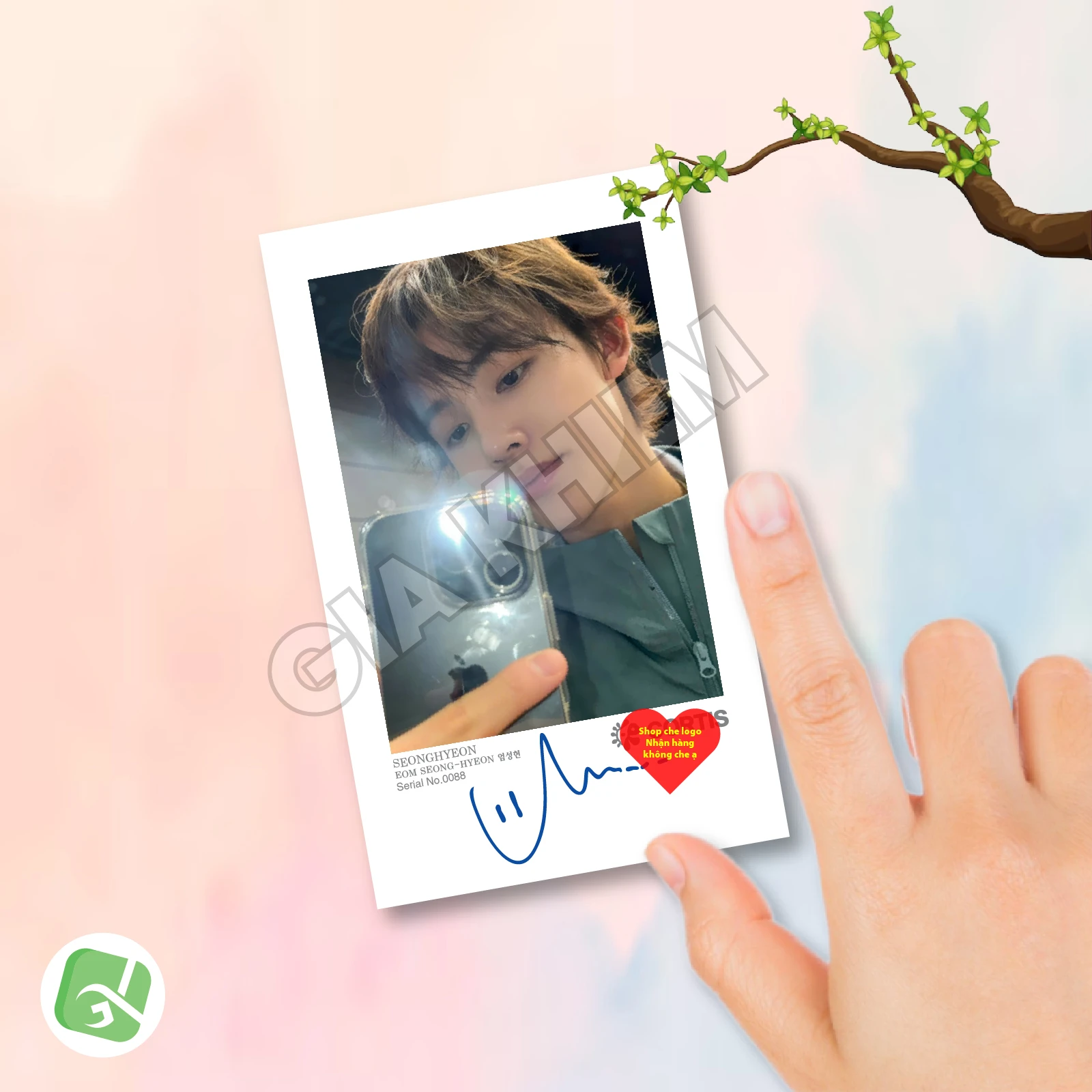 Ảnh Pola CORTIS Có Gì Hot? Trend Sưu Tầm Ảnh Polaroid CORTIS