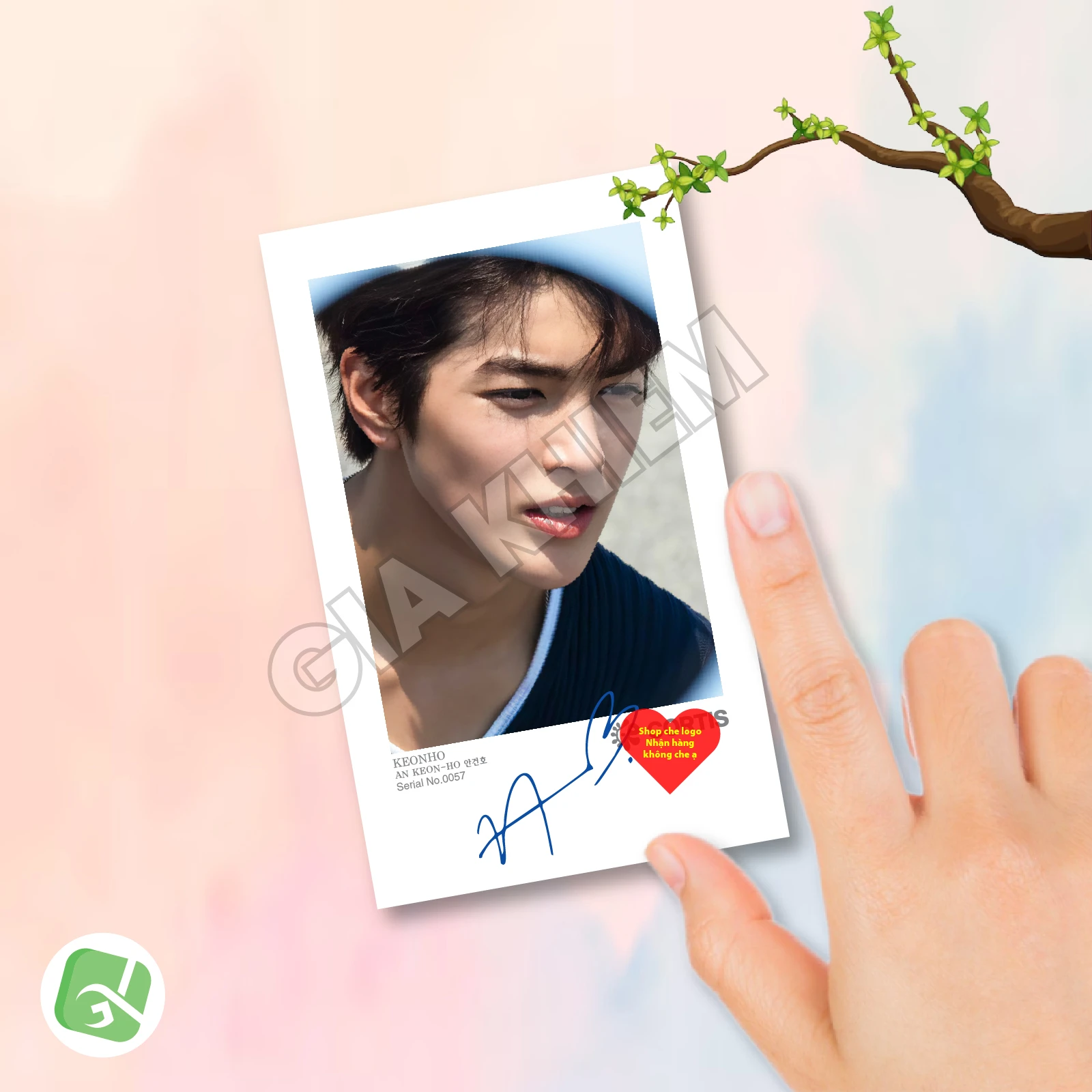 Ảnh Pola CORTIS Có Gì Hot? Trend Sưu Tầm Ảnh Polaroid CORTIS