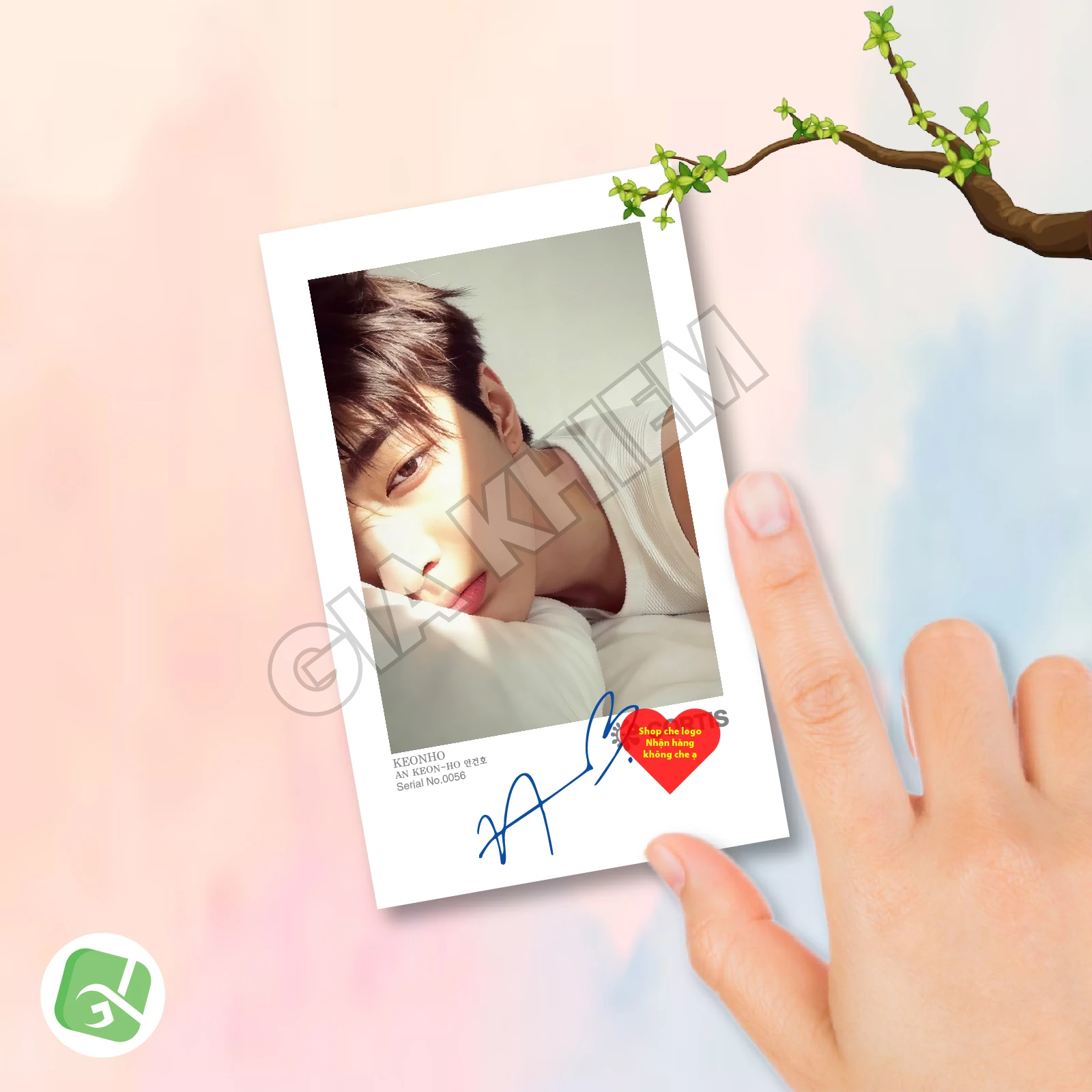 Ảnh Pola CORTIS Có Gì Hot? Trend Sưu Tầm Ảnh Polaroid CORTIS