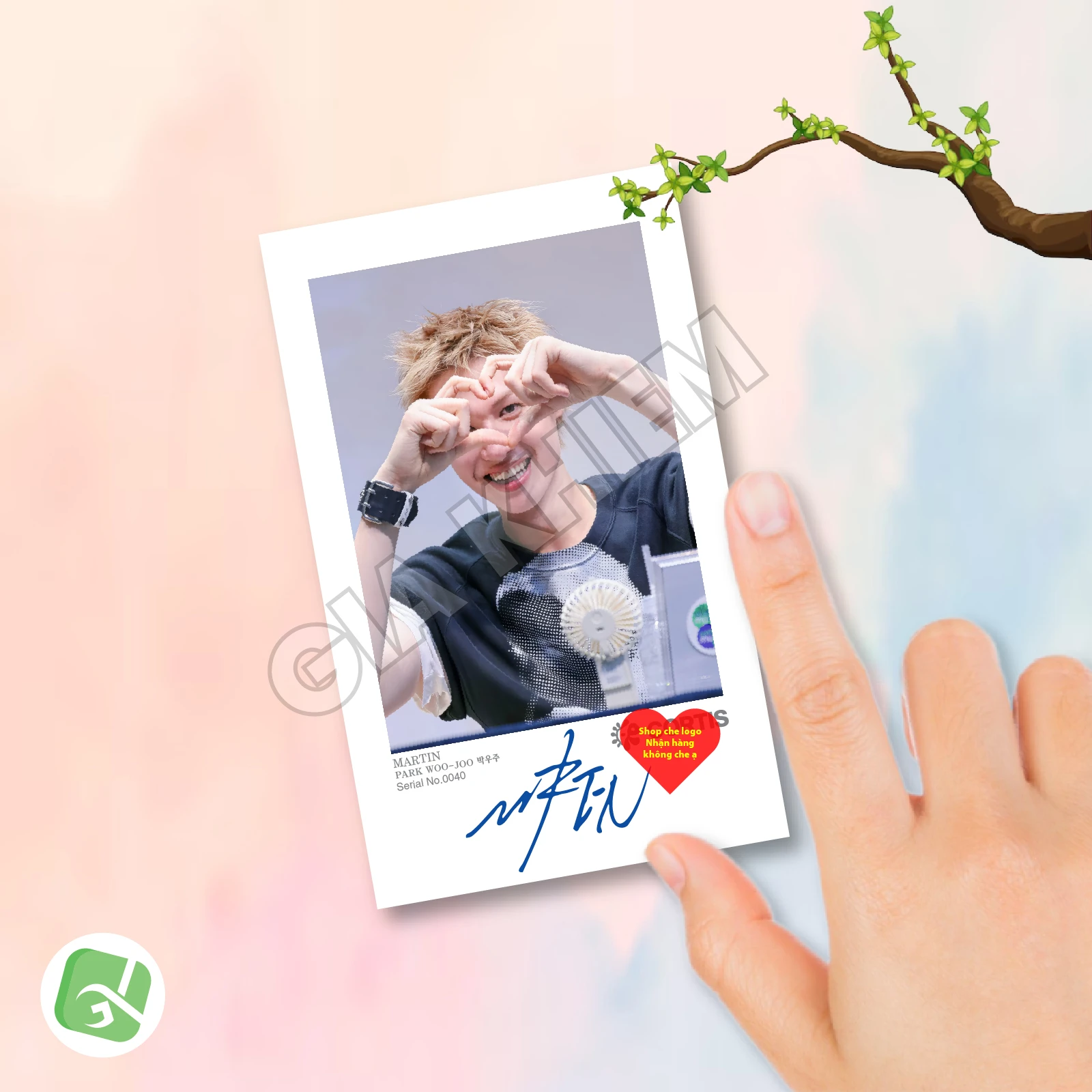 Ảnh Pola CORTIS Có Gì Hot? Trend Sưu Tầm Ảnh Polaroid CORTIS