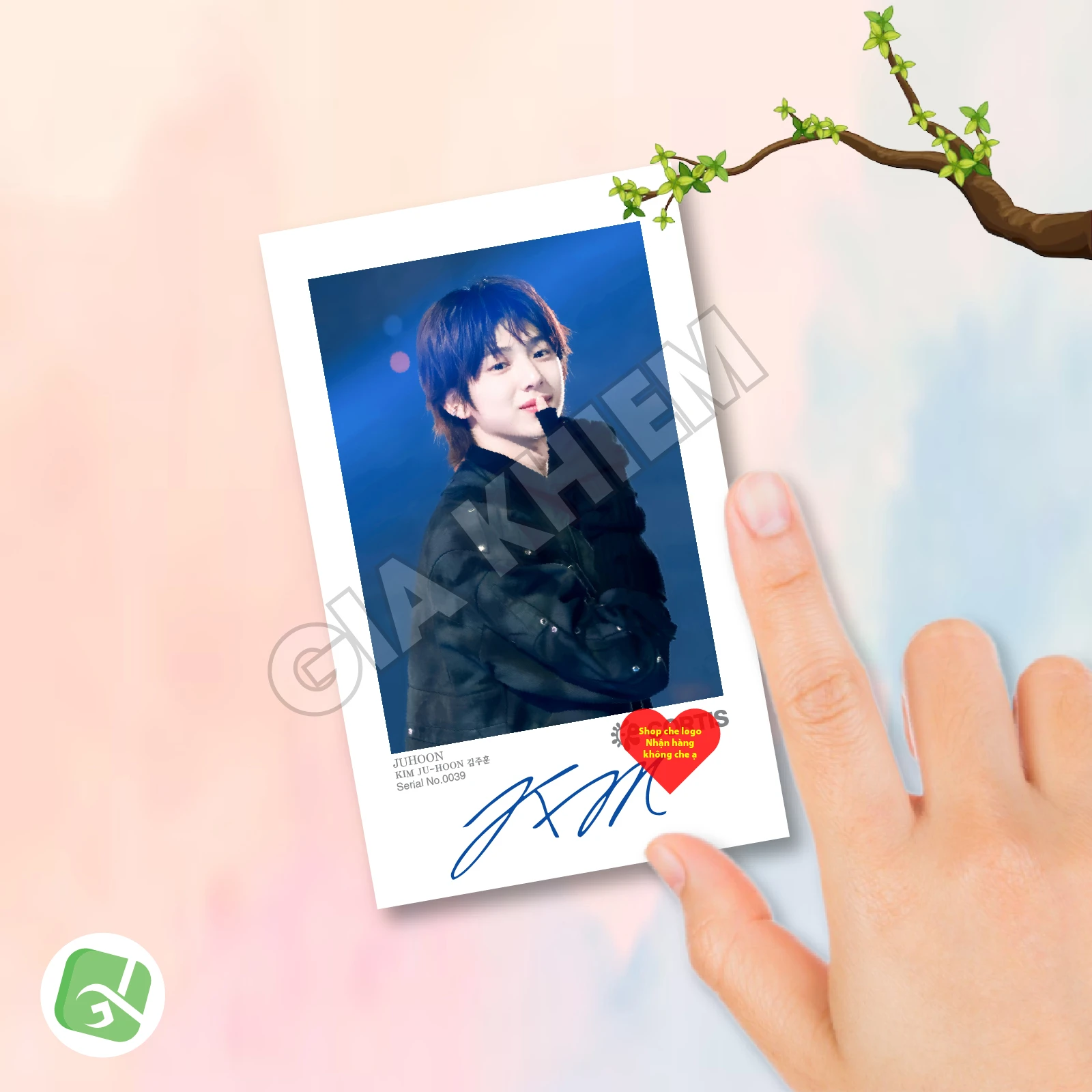 Ảnh Pola CORTIS Có Gì Hot? Trend Sưu Tầm Ảnh Polaroid CORTIS