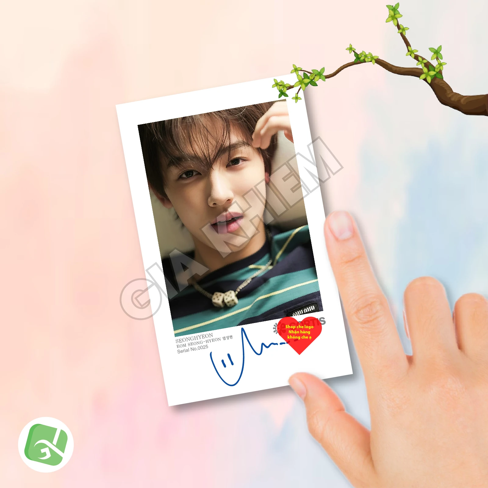 Ảnh Pola CORTIS Có Gì Hot? Trend Sưu Tầm Ảnh Polaroid CORTIS